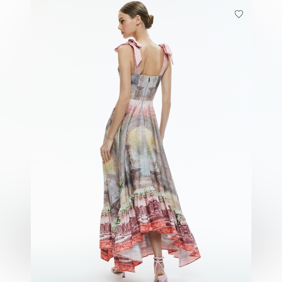 NWOT Alice + Olivia Rosalee Tie Strap Bustier Maxi Dress - Picture 4 of 7